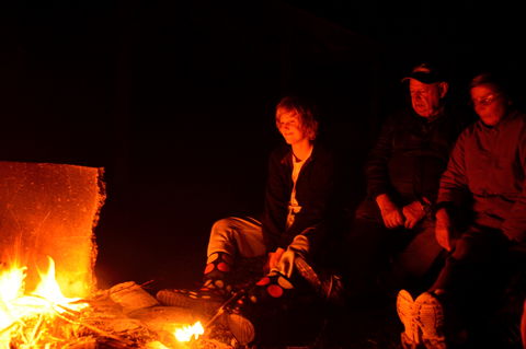 Diamond Forest Farm Stay - Dalby Accommodation 1