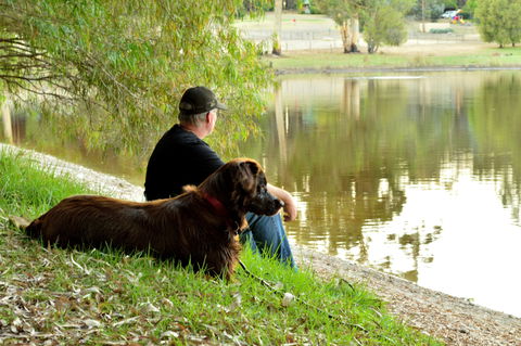 Diamond Forest Farm Stay - Dalby Accommodation 2