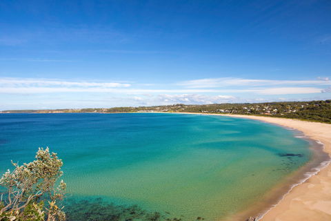Footsteps To Mollymook Beach - Dalby Accommodation 2