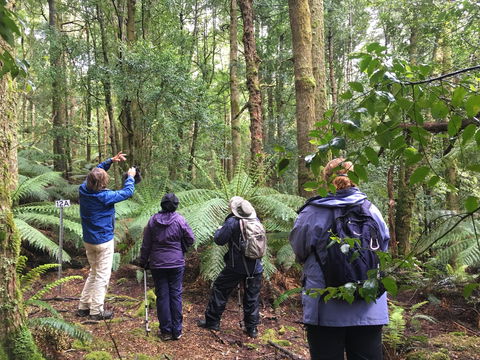 Forest Walks Lodge - Eco-Accommodation - Dalby Accommodation 1