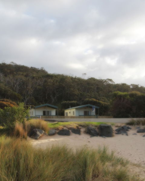 Kennett River Holiday Park - Dalby Accommodation 0