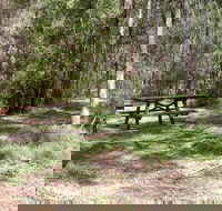 Mulloon Creek campground - Dalby Accommodation