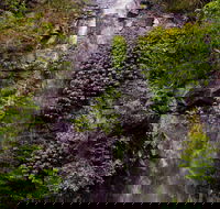 Nimbin Waterfall Retreat - Dalby Accommodation