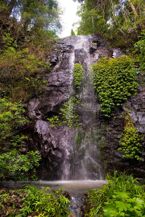 Nimbin Waterfall Retreat - Dalby Accommodation 0