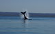 Ningaloo Bed And Breakfast - thumb 2