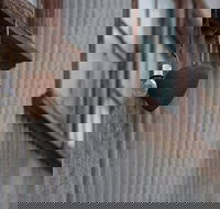 Our Little Gem B B - Dalby Accommodation