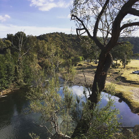 Paradise Valley Camping Park - Dalby Accommodation 2