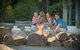 Paradise Country Farmstay - thumb 1