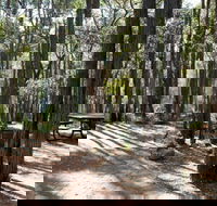 Perth Hills Centre Campground at Beelu National Park - Dalby Accommodation