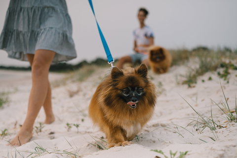 Reflections Holiday Parks Mylestom - Dalby Accommodation 1