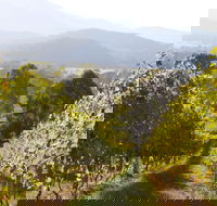 Rosetta's Garden Guesthouse - Dalby Accommodation