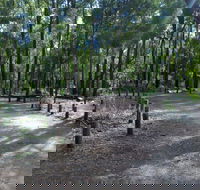 Stringers Camp at Lane Poole Reserve - Dalby Accommodation