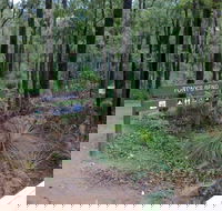 Tonys Bend Campground at Lane Poole Reserve - Dalby Accommodation