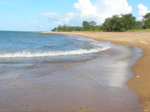 Wagait Beach Holiday Houses - Dalby Accommodation 0