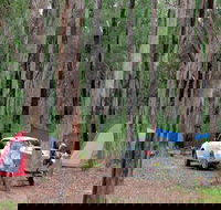 Wallingat River campground - Dalby Accommodation