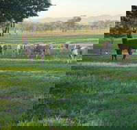 Wallinga Studio Farmstay - Dalby Accommodation