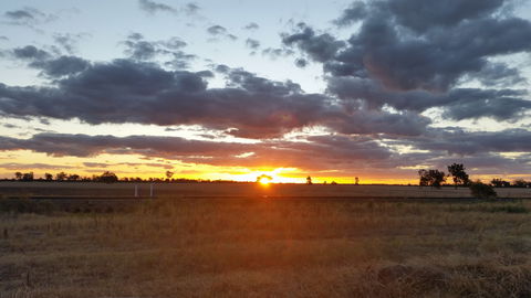Whispering Pines Farm Stay - Dalby Accommodation 0