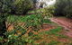 Whispering Pines Farm Stay - thumb 1