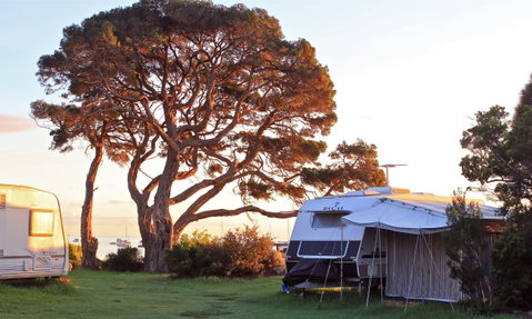 WhiteCliffs To Camerons Bight Foreshore Reserve - Dalby Accommodation 0