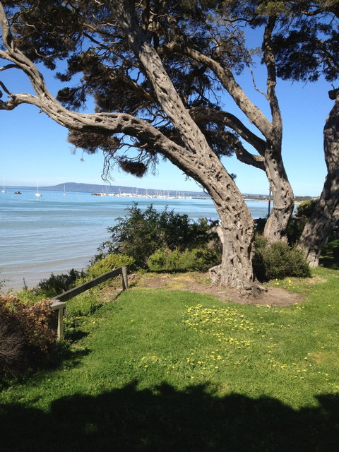 WhiteCliffs To Camerons Bight Foreshore Reserve - Dalby Accommodation 2