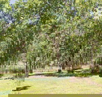 Youdales Hut campground and picnic area - Dalby Accommodation