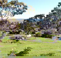 Austiny Bed and Breakfast - Dalby Accommodation