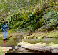 Bass Lodge - Dalby Accommodation