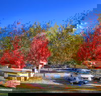 Beechworth Lake Sambell Caravan Park - Dalby Accommodation