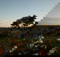 Belubula Cottage Canowindra - Dalby Accommodation