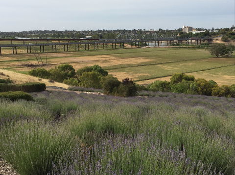 Brayfield Cottage - Dalby Accommodation 0