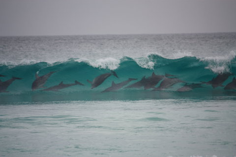 Bremer Bay Caravan Park - Dalby Accommodation 1