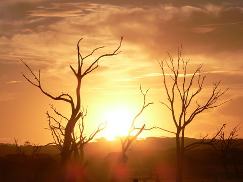 Discovery Lagoon Camping Grounds - Dalby Accommodation 2