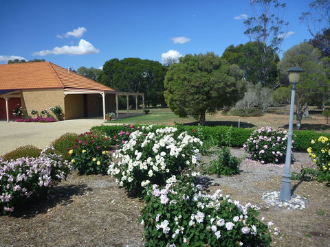 Fairways Bed And  Breakfast At Jerilderie - Dalby Accommodation 2