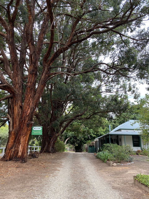 Fernleigh Accommodation - Dalby Accommodation 0