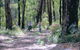 Honeymoon Pool - Gelcoat Camp At Wellington National Park - thumb 0