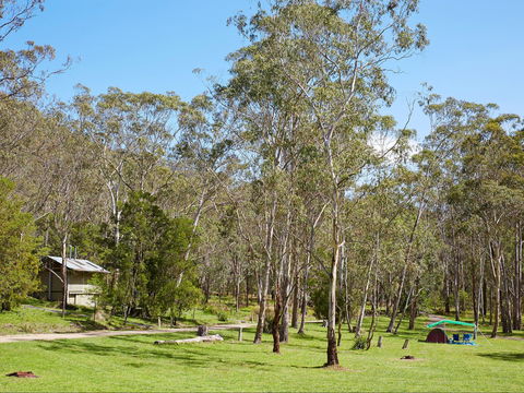 Main Range National Park Camping - Dalby Accommodation 0