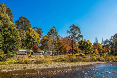 Porepunkah Bridge Holiday Park - Dalby Accommodation 1