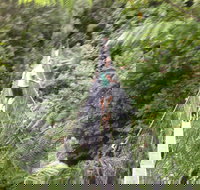 Rosebery Cabin and Tourist Park - Dalby Accommodation