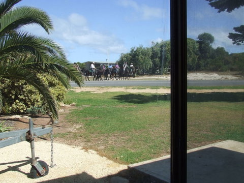 Seahorse Beach Shack - Dalby Accommodation 1