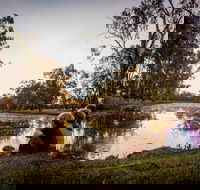 Swagsman Motor Inn - Dalby Accommodation