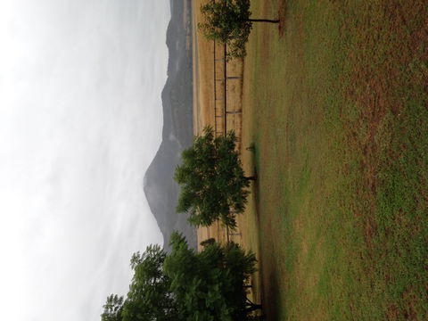 The Old Dairy At Baerami - Dalby Accommodation 2