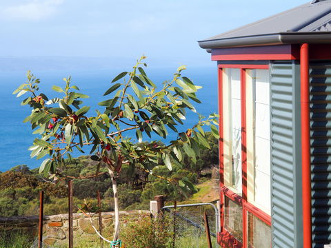 The Grass Tree Coastal Retreat Kangaroo Island - Dalby Accommodation 1