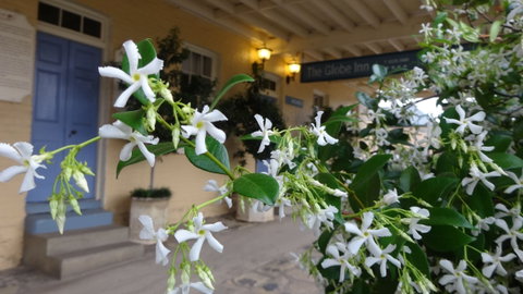 The Globe Inn - Dalby Accommodation 1