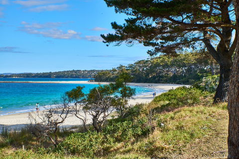 The Beach Jervis Bay - Dalby Accommodation 1
