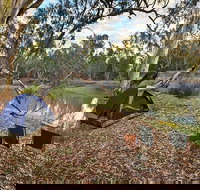 Woolpress Bend campground - Dalby Accommodation