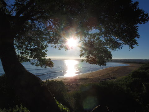 Apex Beachside Holiday Park - Dalby Accommodation 1