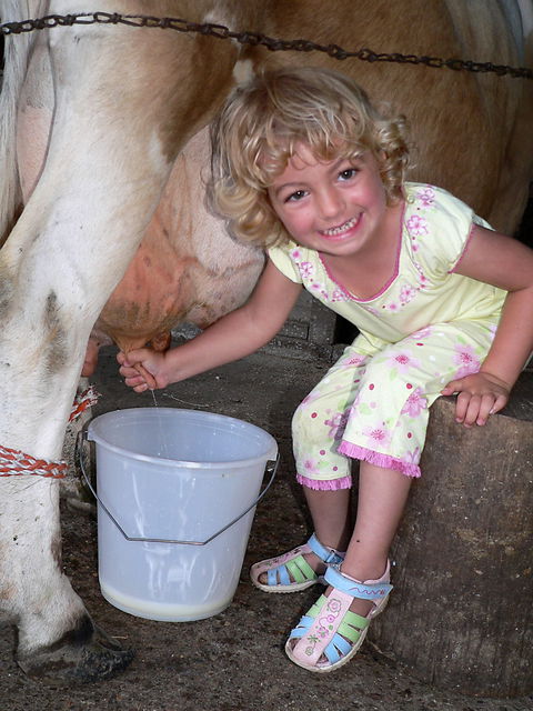 Ashmar Farmstay - Dalby Accommodation 1