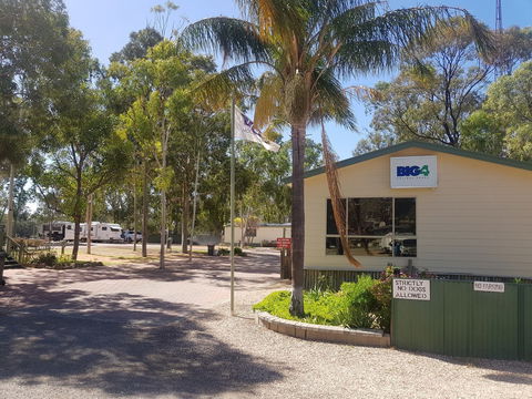 Big4 Blanchetown Riverside Holiday Park - Dalby Accommodation 0
