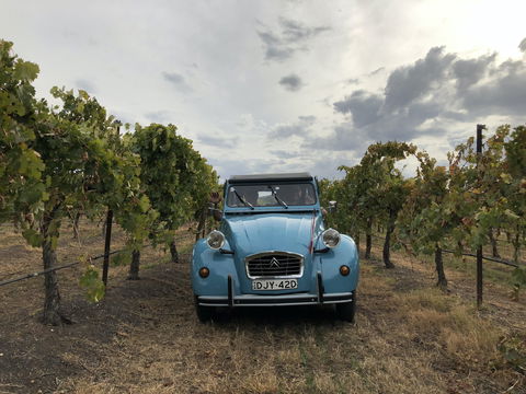 Birches Bed And Breakfast Mudgee - Dalby Accommodation 2