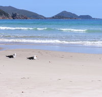 Eagles Rise Tasmania - Dalby Accommodation